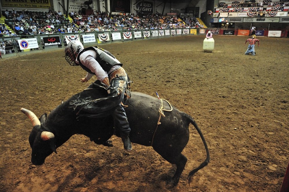 bullriding Sports Image