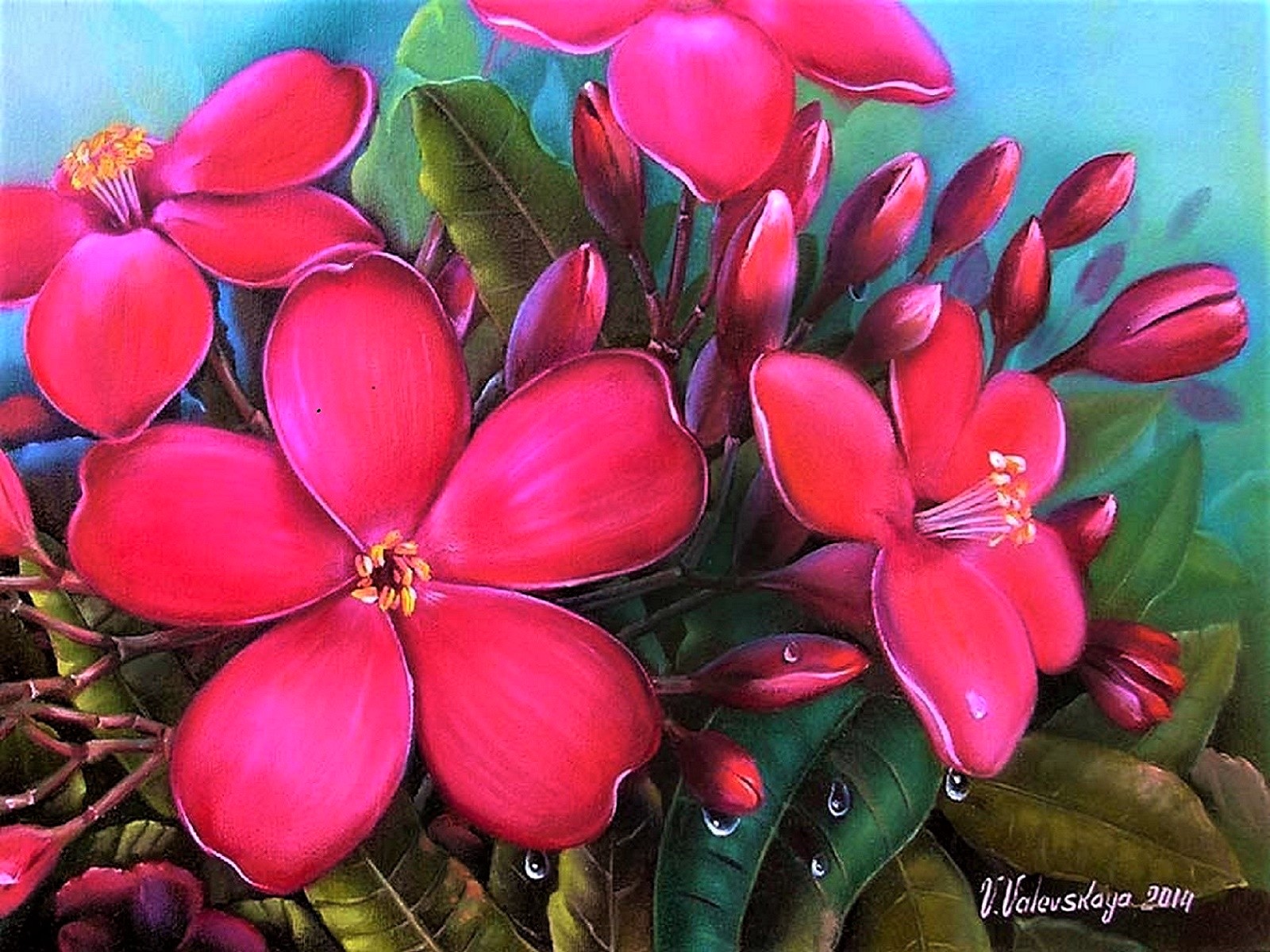 Pink Plumeria by V. Valevskoya