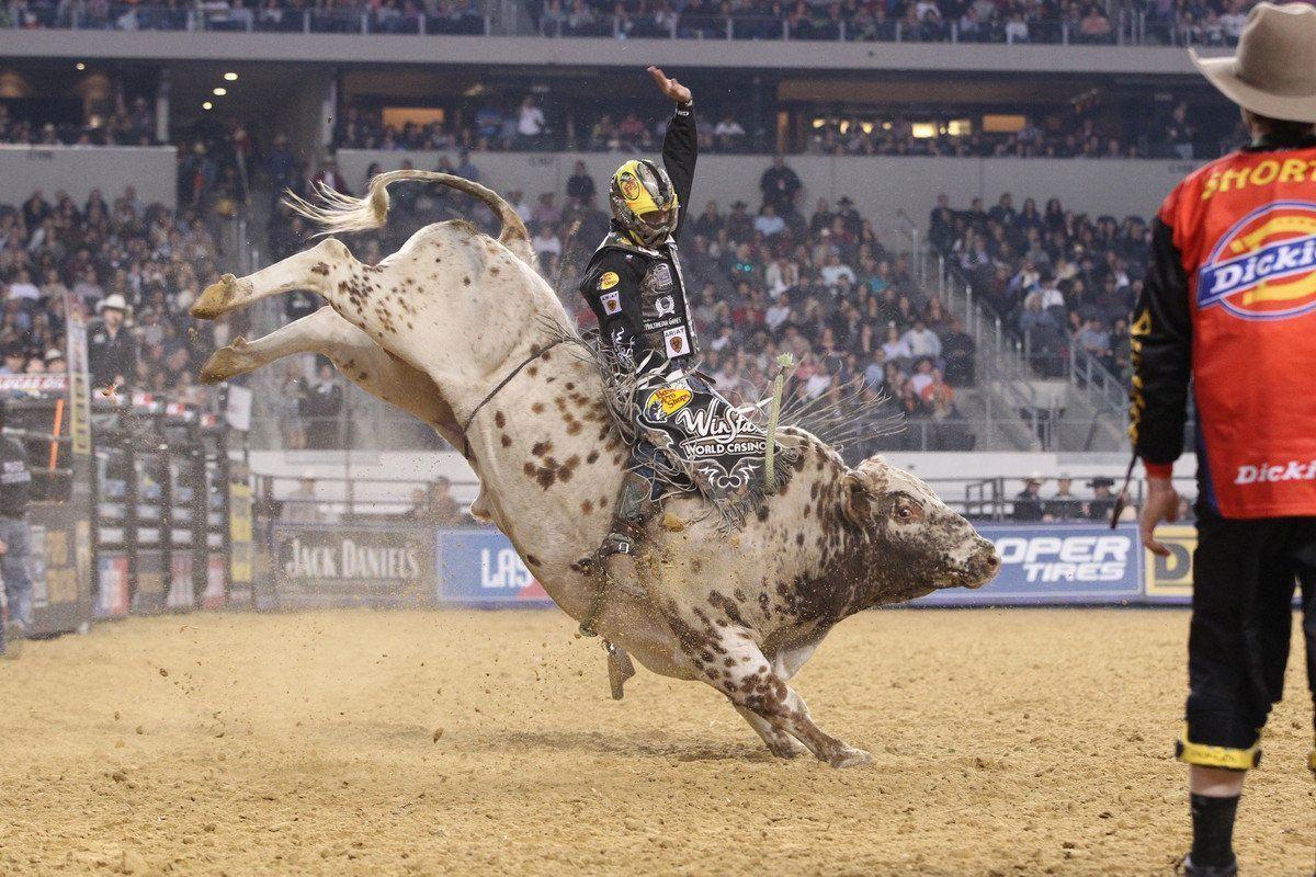 Bullriding Picture - Image Abyss