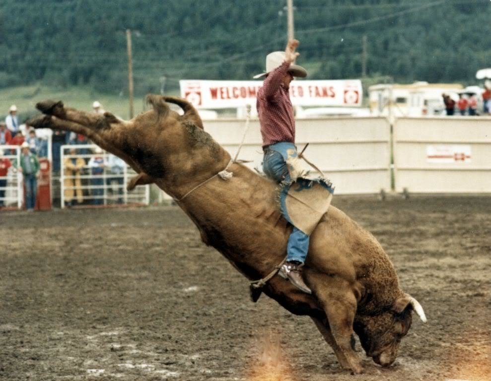 bullriding Sports Image