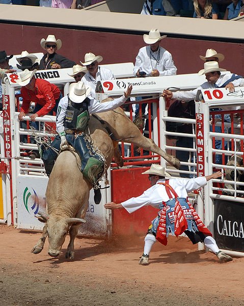 bullriding Sports Image