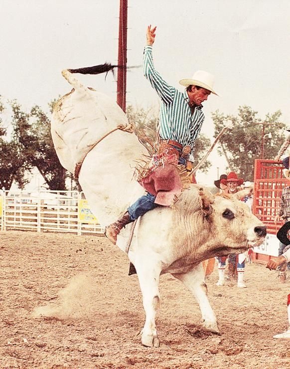 bullriding Sports Image