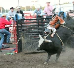 bullriding Sports Image