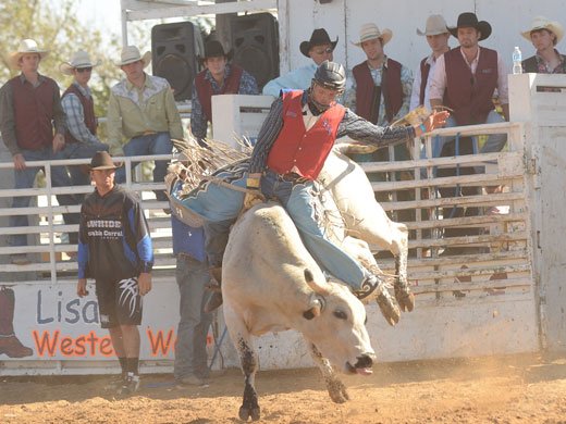 bullriding Sports Image