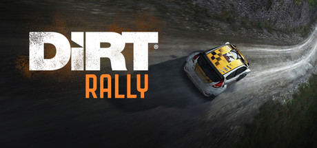 DiRT Rally Picture
