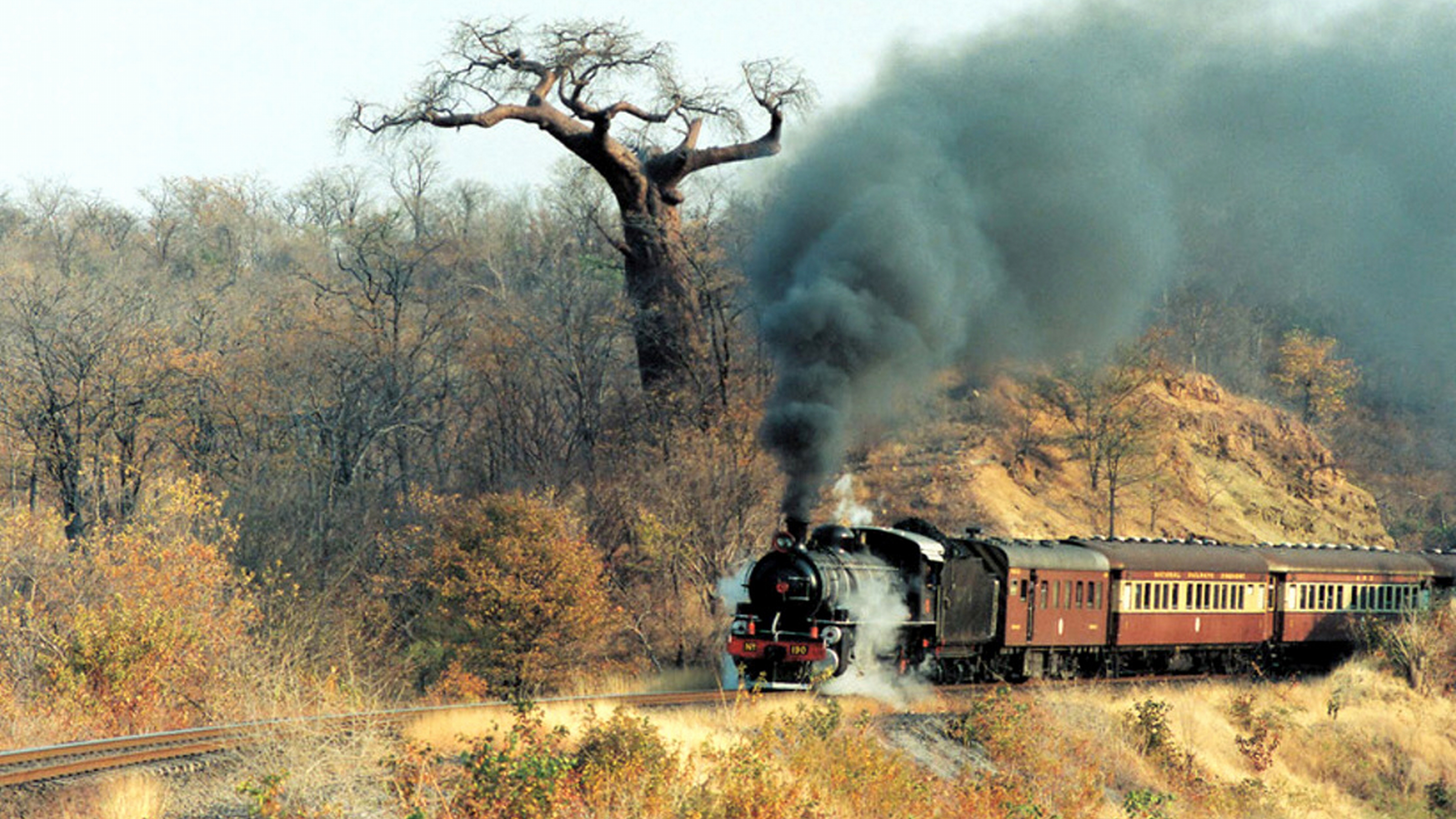Train Picture