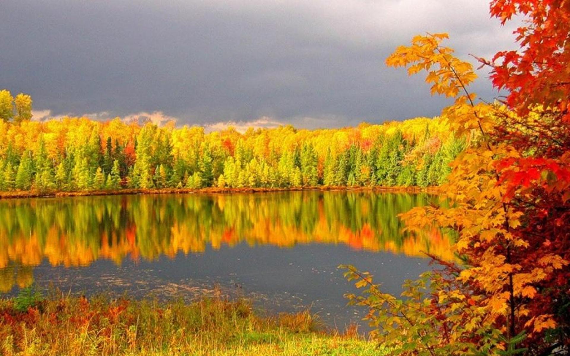 Autumn Trees Reflected in the Lake Image Abyss