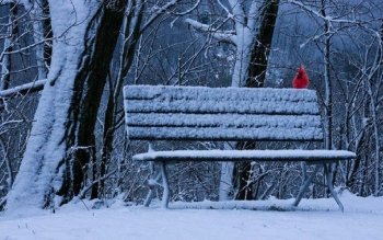 Preview Image 17283