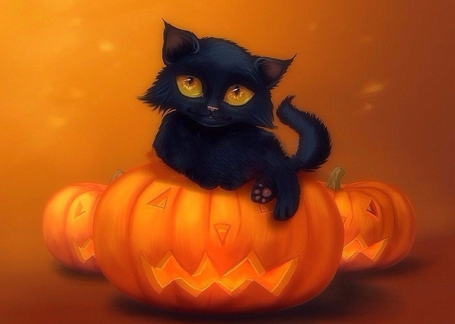 Halloween Kitten Image Abyss