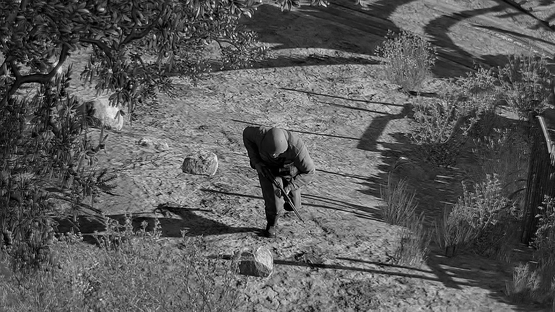 video game Sniper Elite III Image