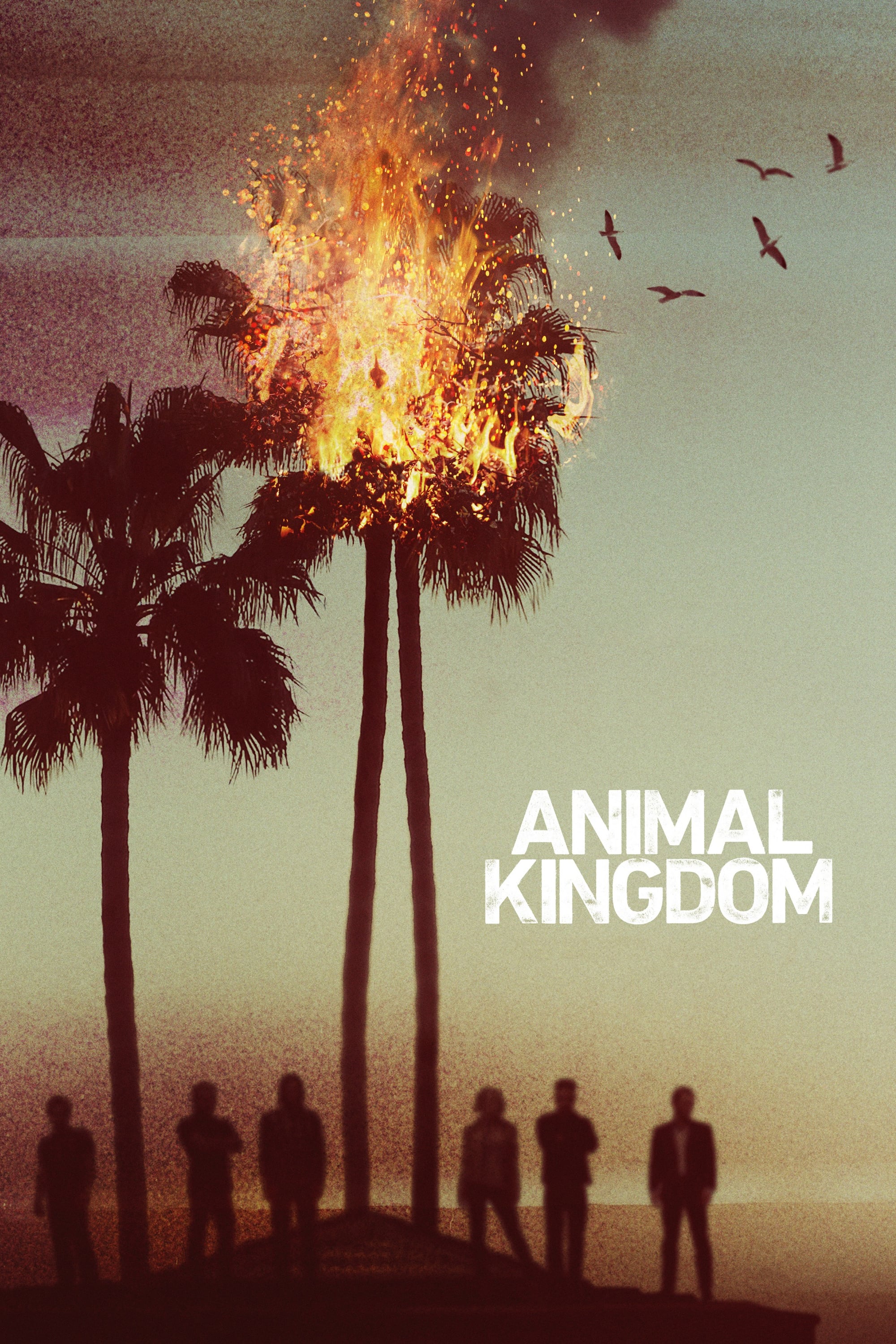 Animal Kingdom Picture