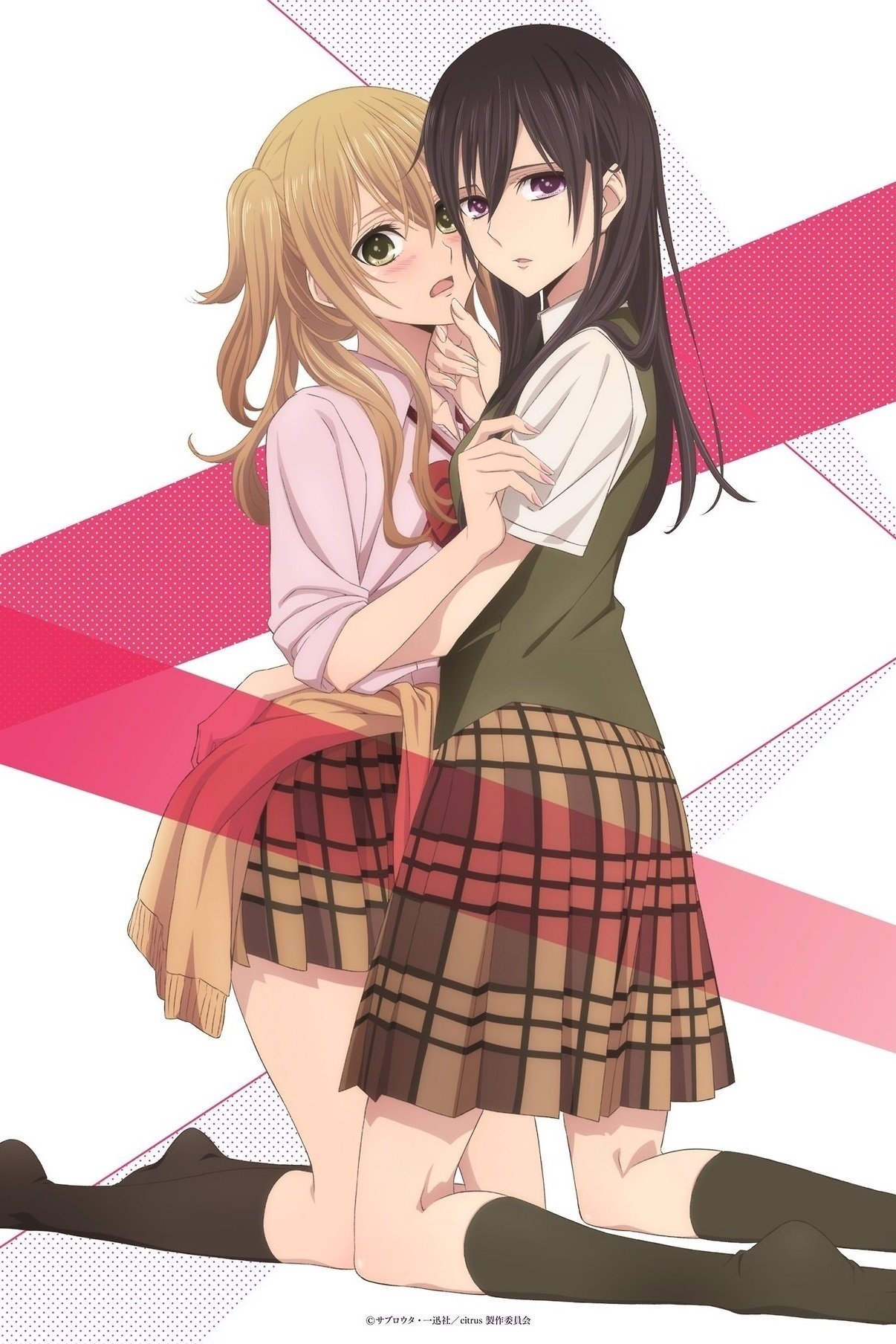 Citrus TV Show Poster - ID: 173395 - Image Abyss