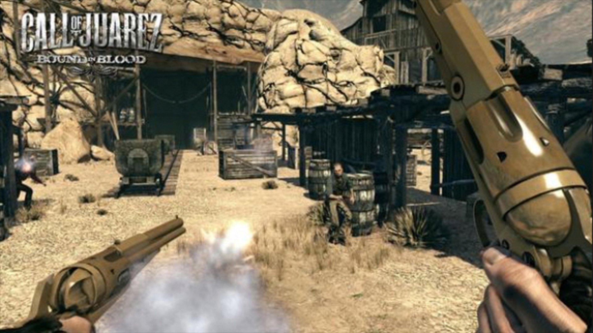 video game Call Of Juarez: Bound In Blood Image