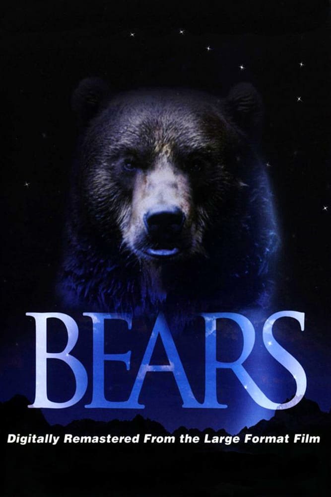 Bears movie. CB Bears. Bear films Döl.