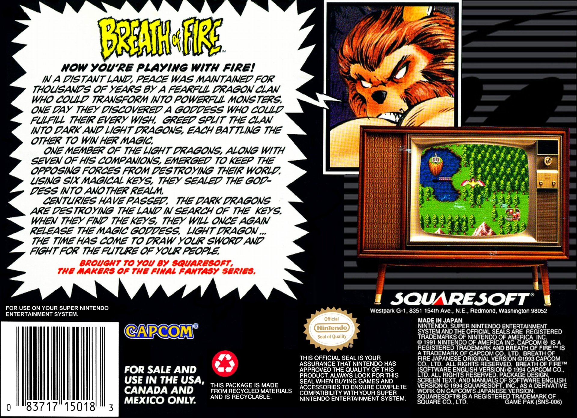 video game Breath of Fire Image