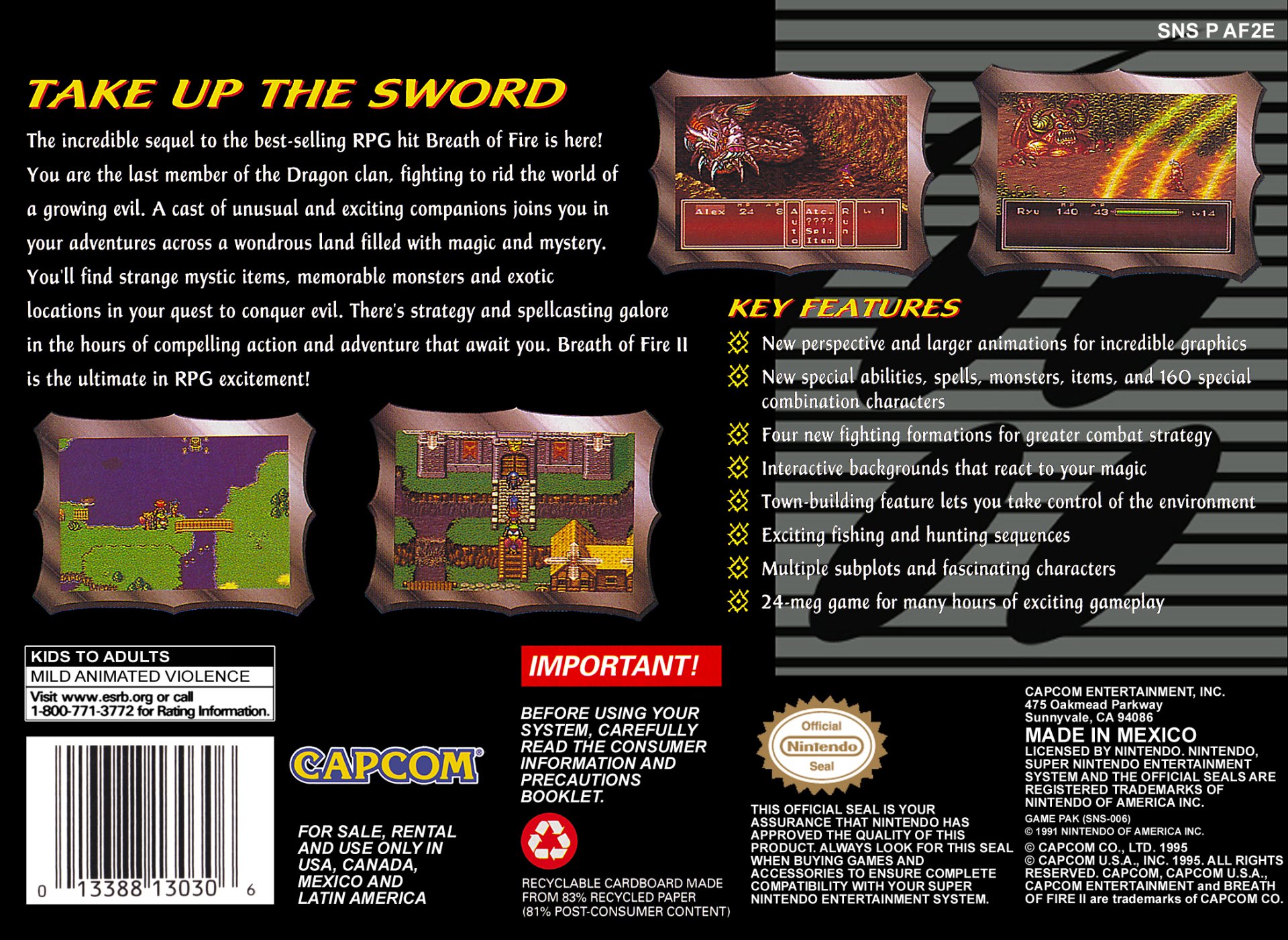 video game Breath of Fire II Image