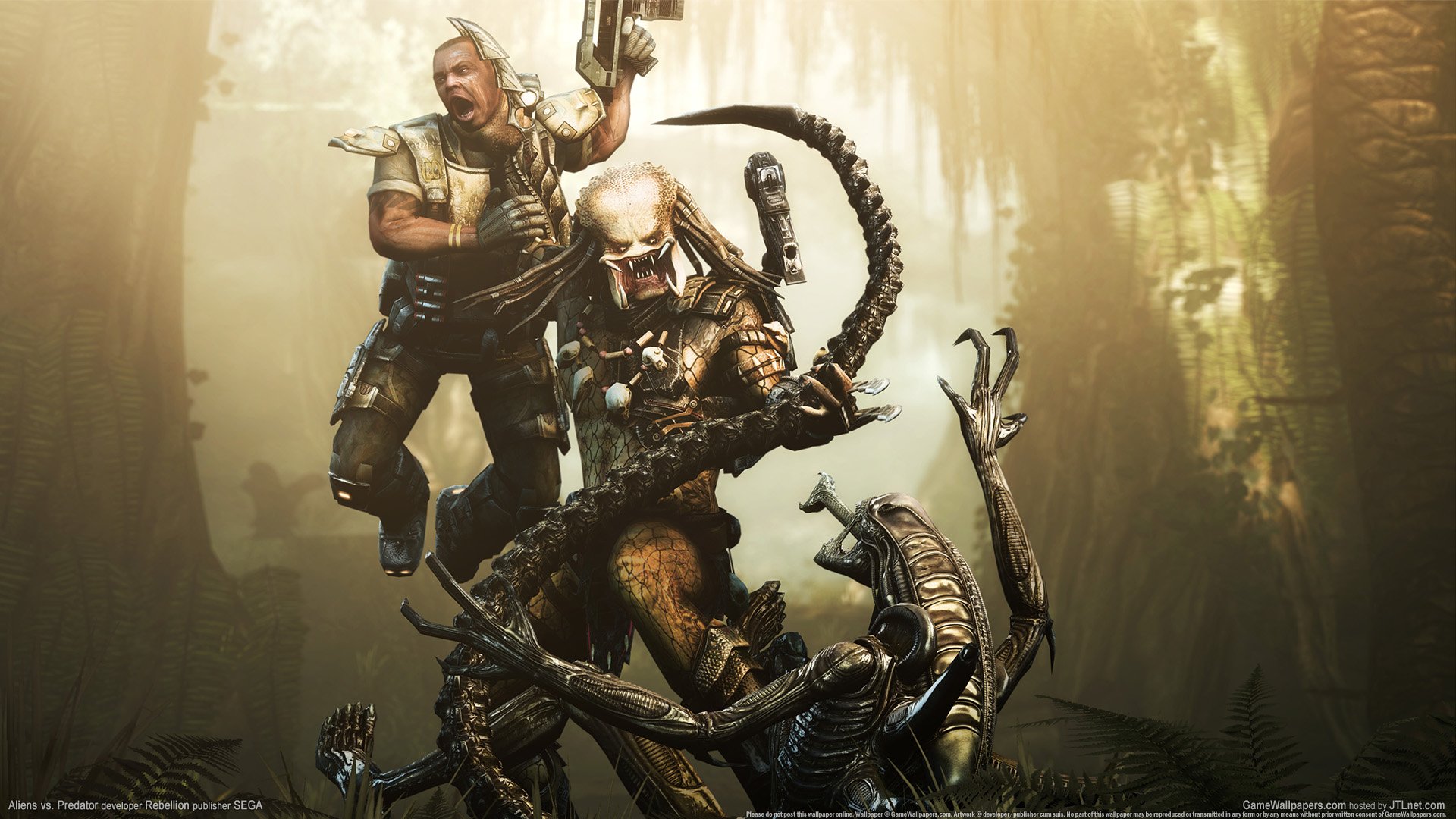 video game Alien vs. Predator Image