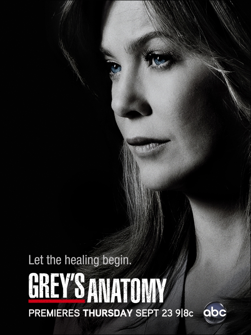 Grey's Anatomy Picture