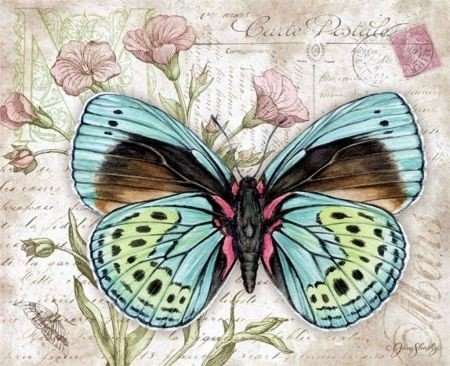  Butterfly Art by Jane Shasky