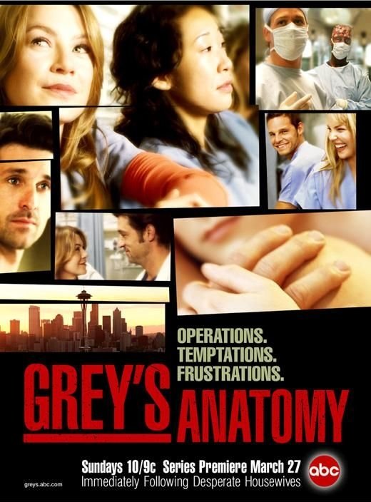 TV Show Grey's Anatomy Image