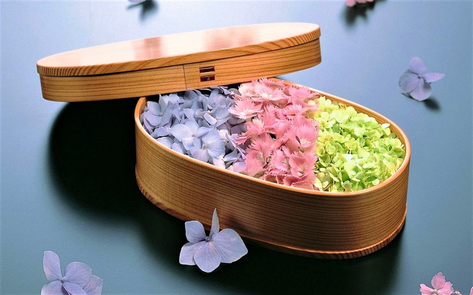  Hydrangeas in a Box