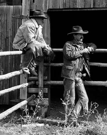 rodeo Sports Image