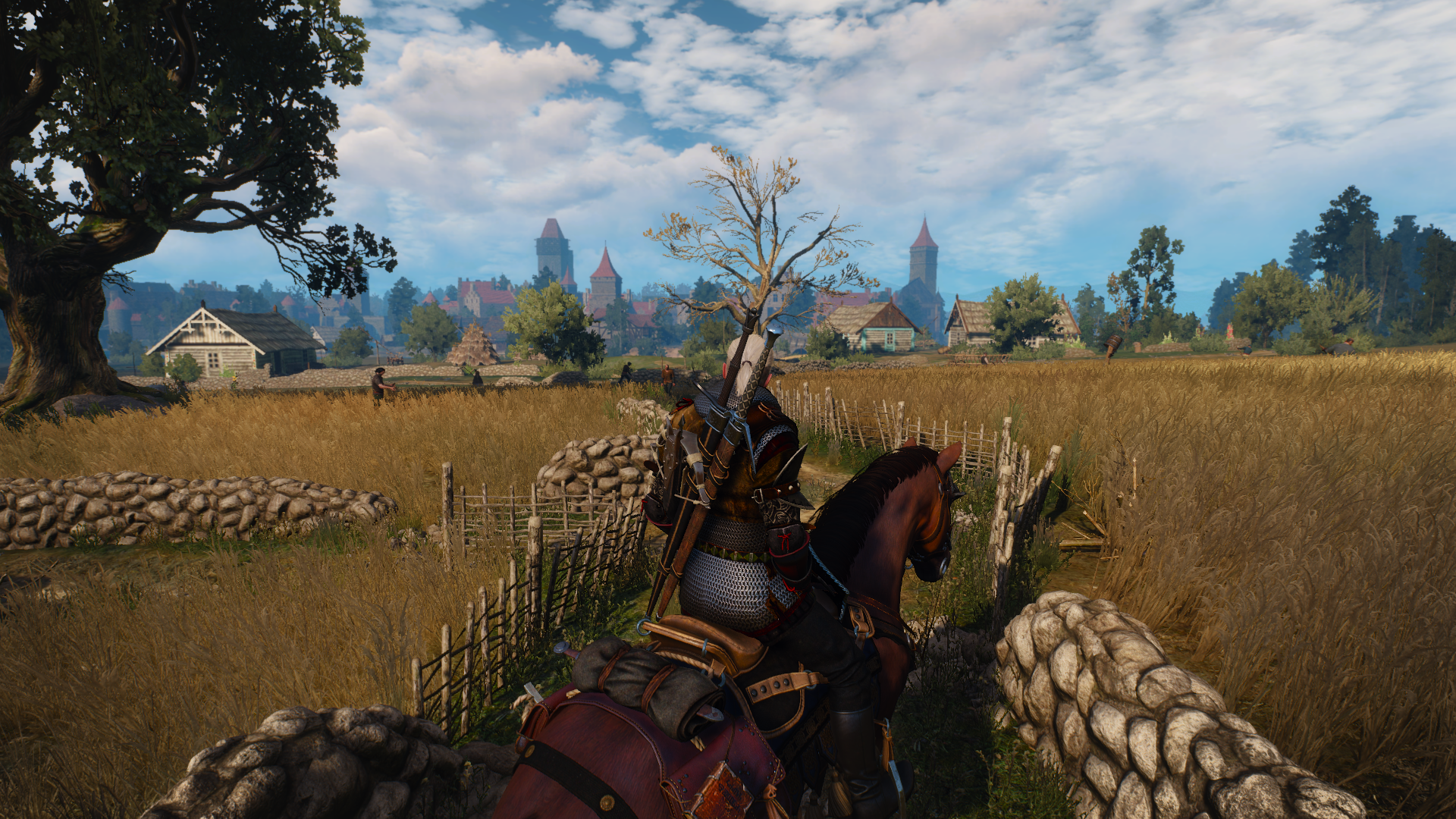  The Witcher 3: Wild Hunt - Road to Novigrad