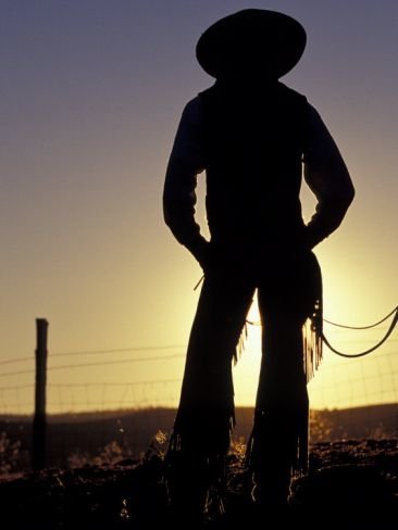 man cowboy Image