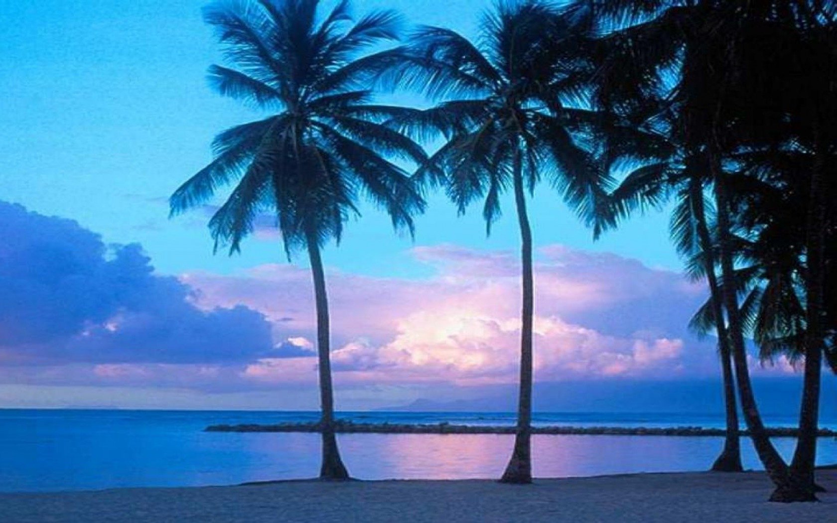 Palm Tree Sunset Image - ID: 17841 - Image Abyss