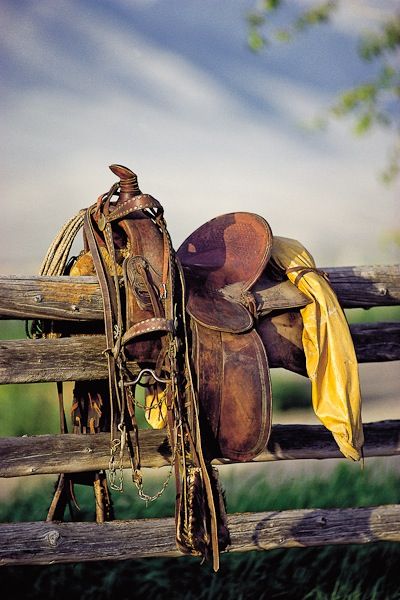 Saddle Picture