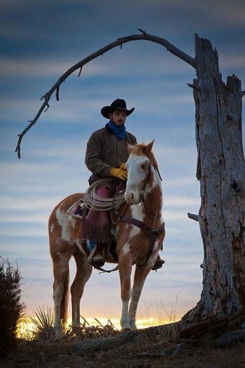Preview Image 179169