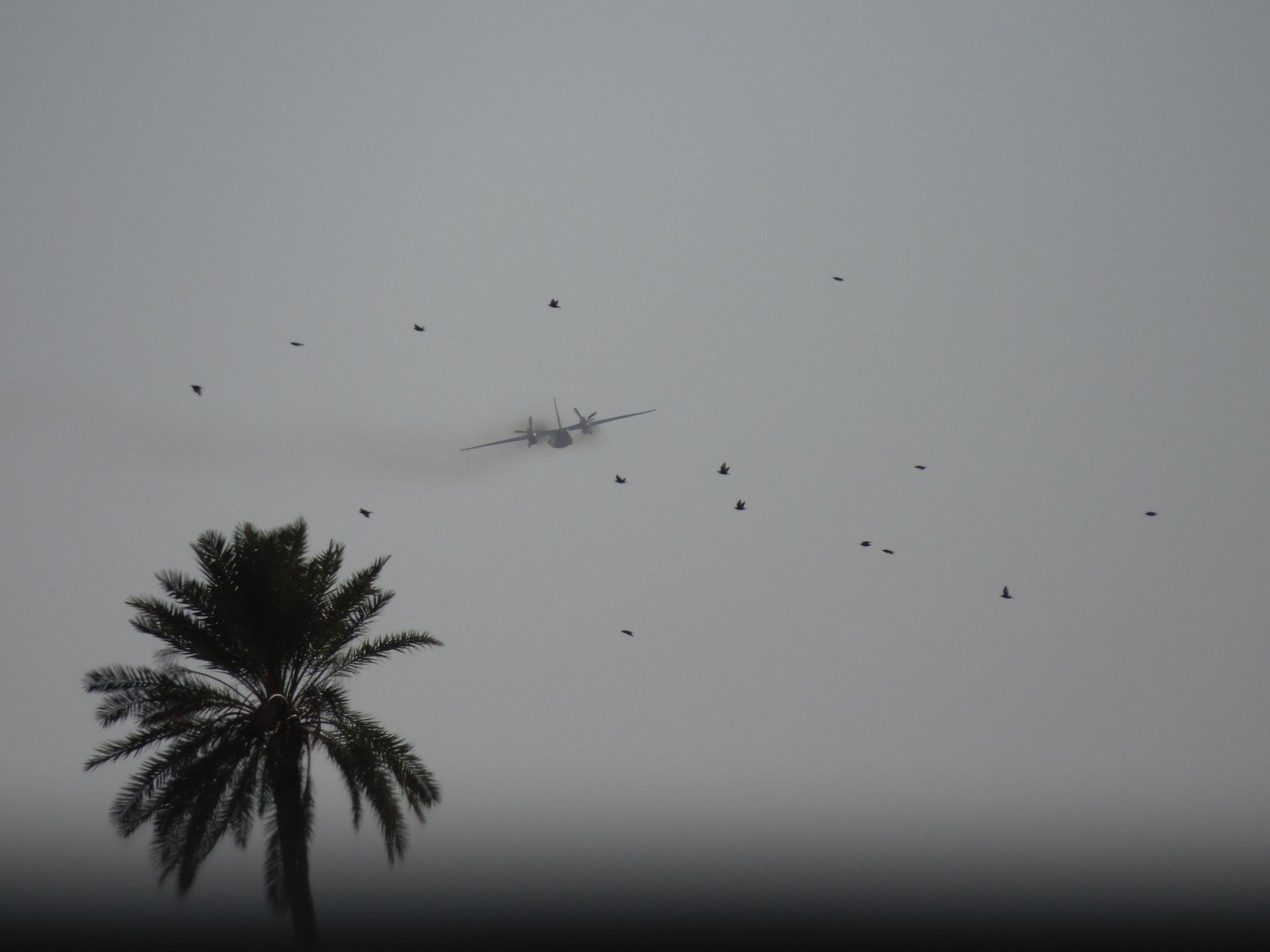 Libya sky vehicle aircraft Image
