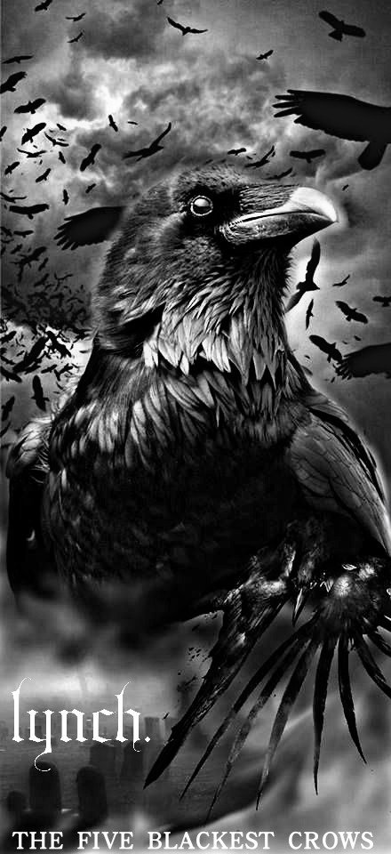  13th ANNIVERSARY -XⅢ GALLOWS- [THE FIVE BLACKEST CROWS]