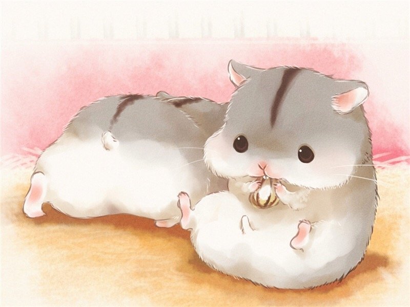 Animal cute Image
