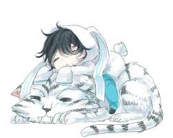 video game Shin Megami Tensei: Devil Survivor 2 Image