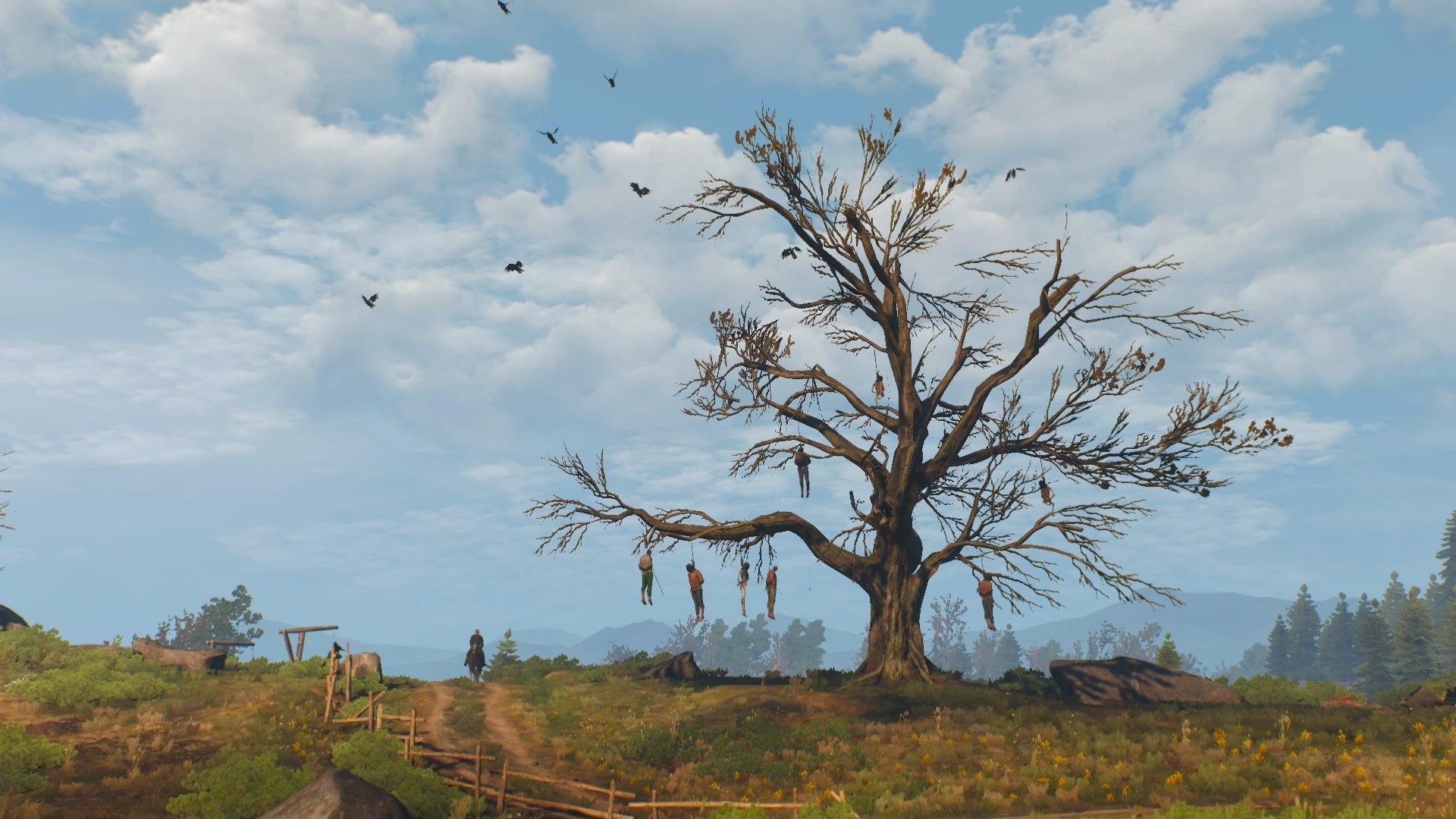  The Witcher 3 Wild Hunt