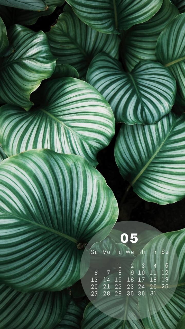  May Calendar with Leaves