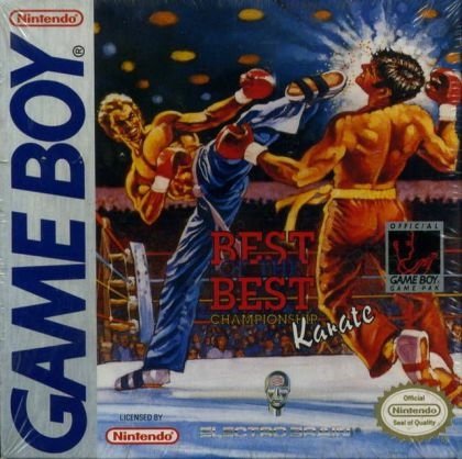 video game Best of the Best: Championship Karate Image