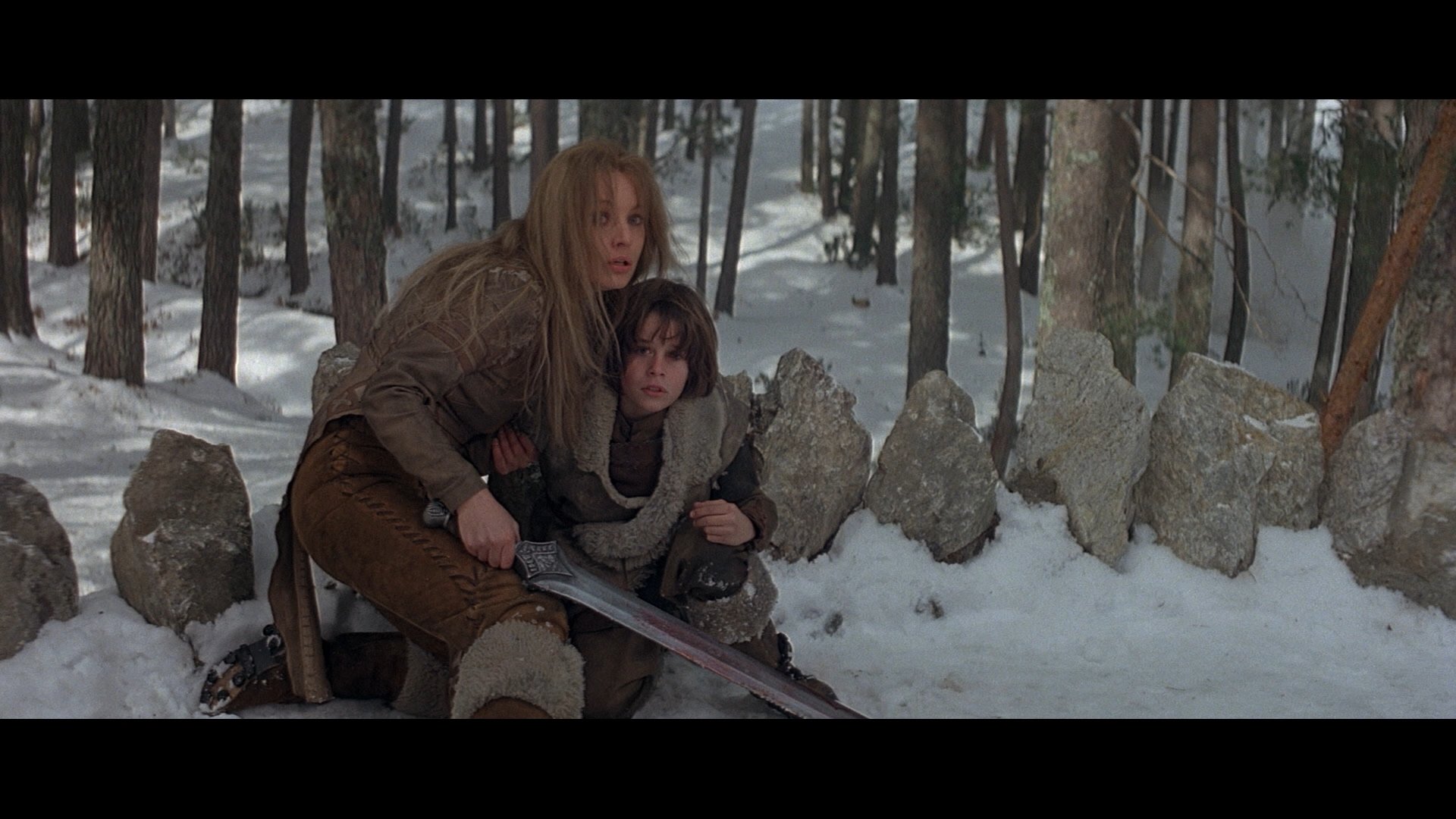 movie Conan the Barbarian (1982) Image