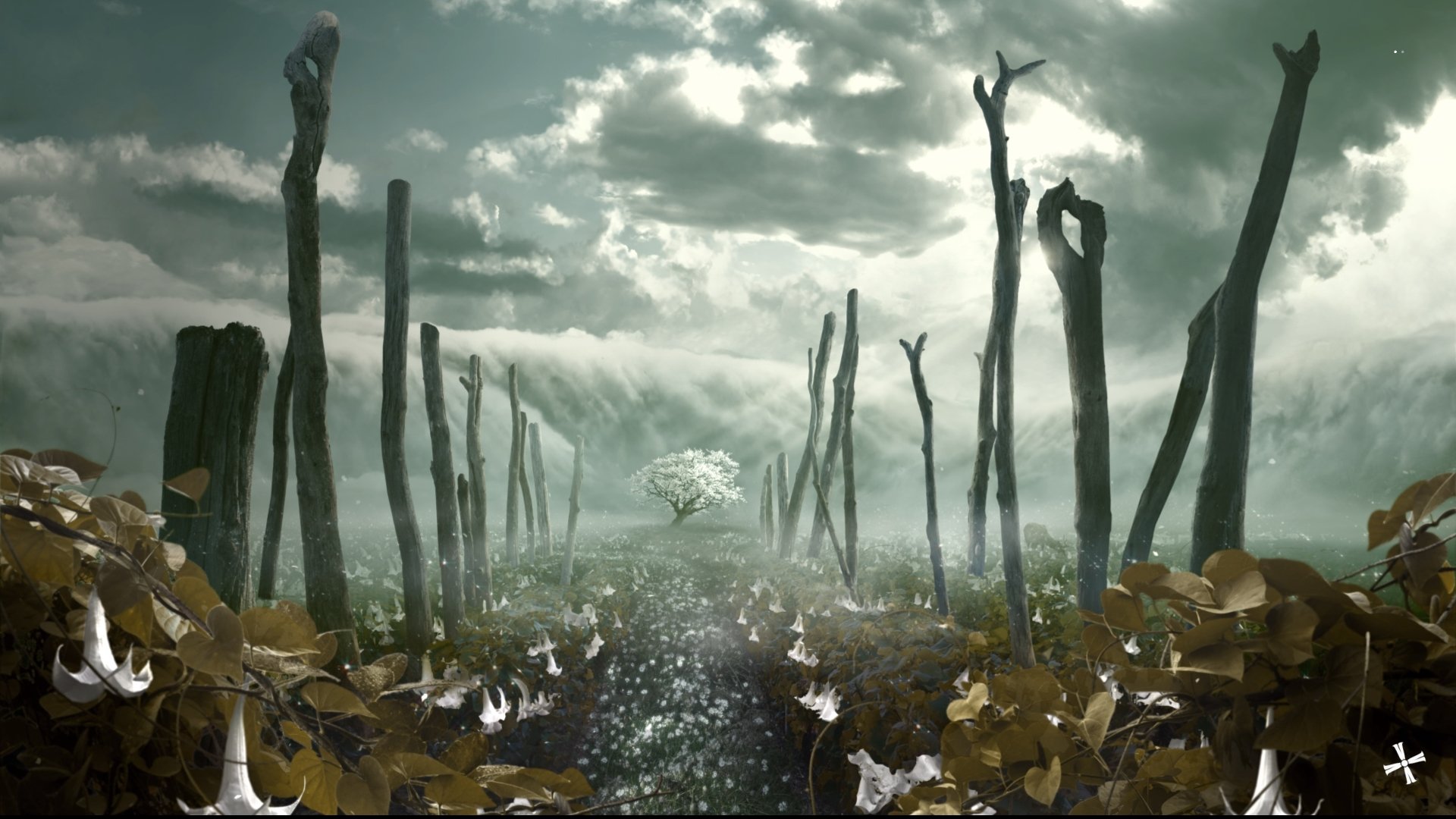 video game Far Cry 5 Image
