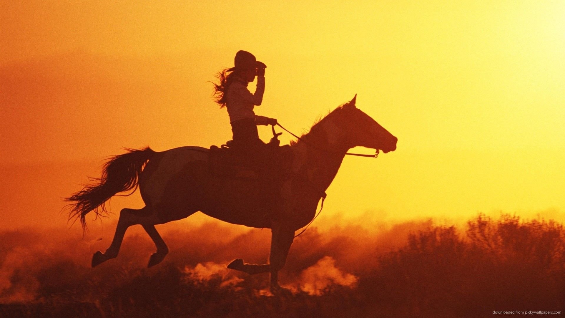 woman cowgirl Image