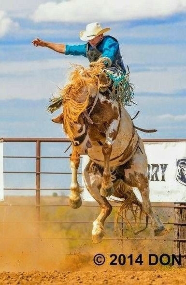 rodeo Sports Image