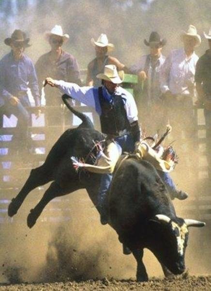 rodeo Sports Image