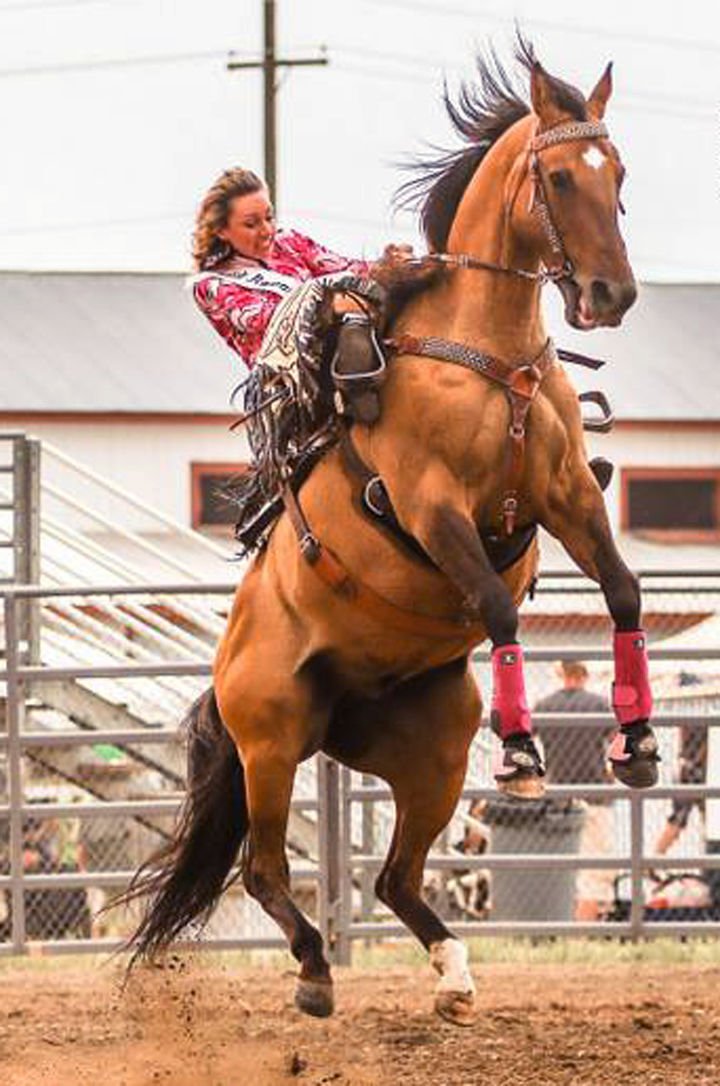 rodeo Sports Image