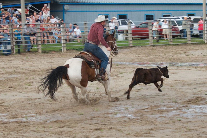 rodeo Sports Image