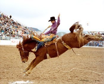 rodeo Sports Image