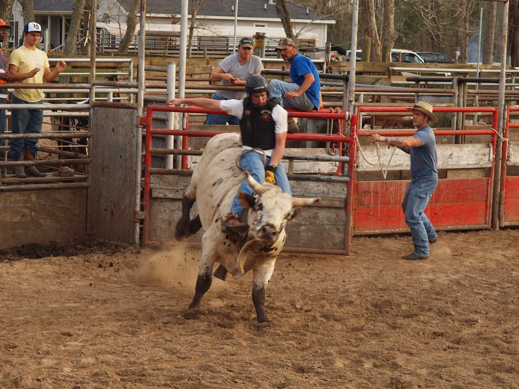 rodeo Sports Image