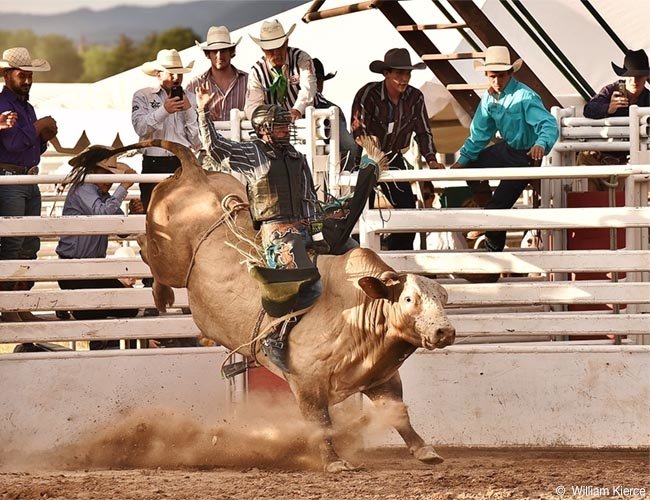 rodeo Sports Image