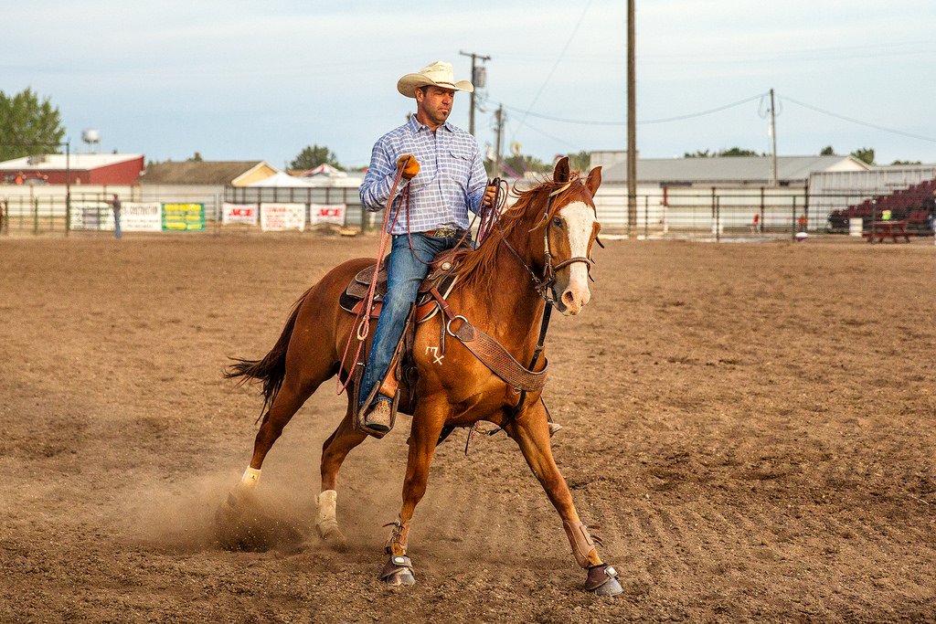 rodeo Sports Image