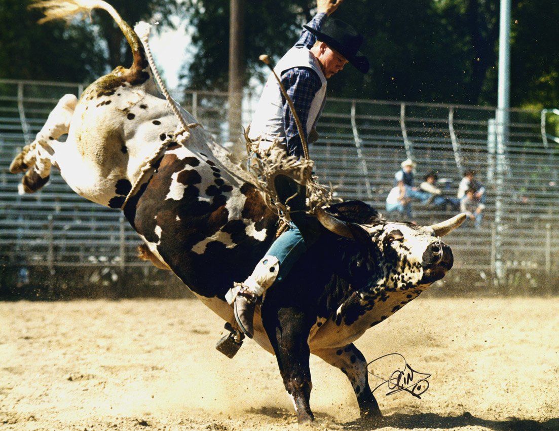 Download Rodeo Sports Image